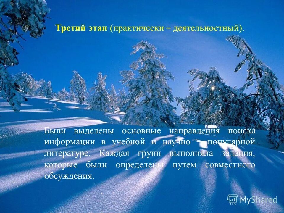 Что происходит в день зимнего. 21 декабря день зимнего солнцестояния. зимнее солнцестояние поздравления. с днем зимнего солнцестояния поздравления. красивые слова про зиму.