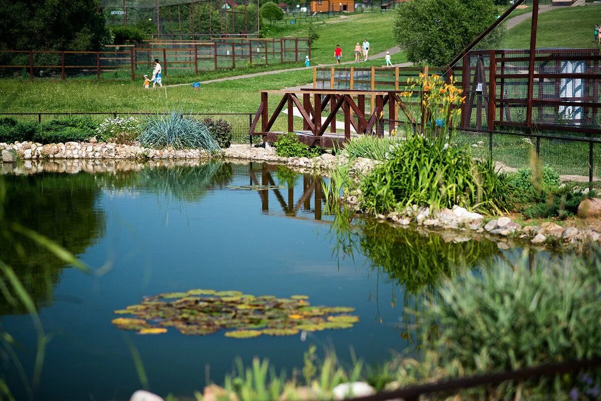 Птичий парк воробьи в калужской области. Вишневый сад 2 малоярославец. Сад калужская область. Жиздра городской парк. Хвалынские сады яблок.