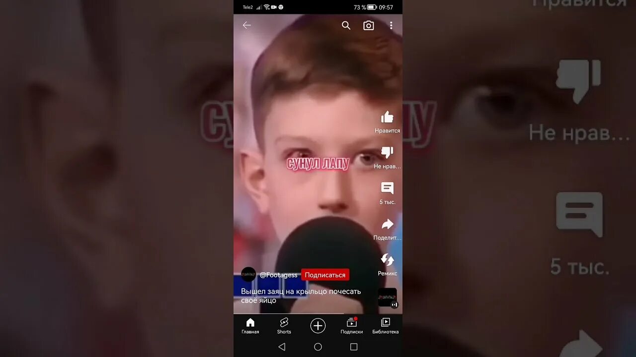 Сунул лапу
