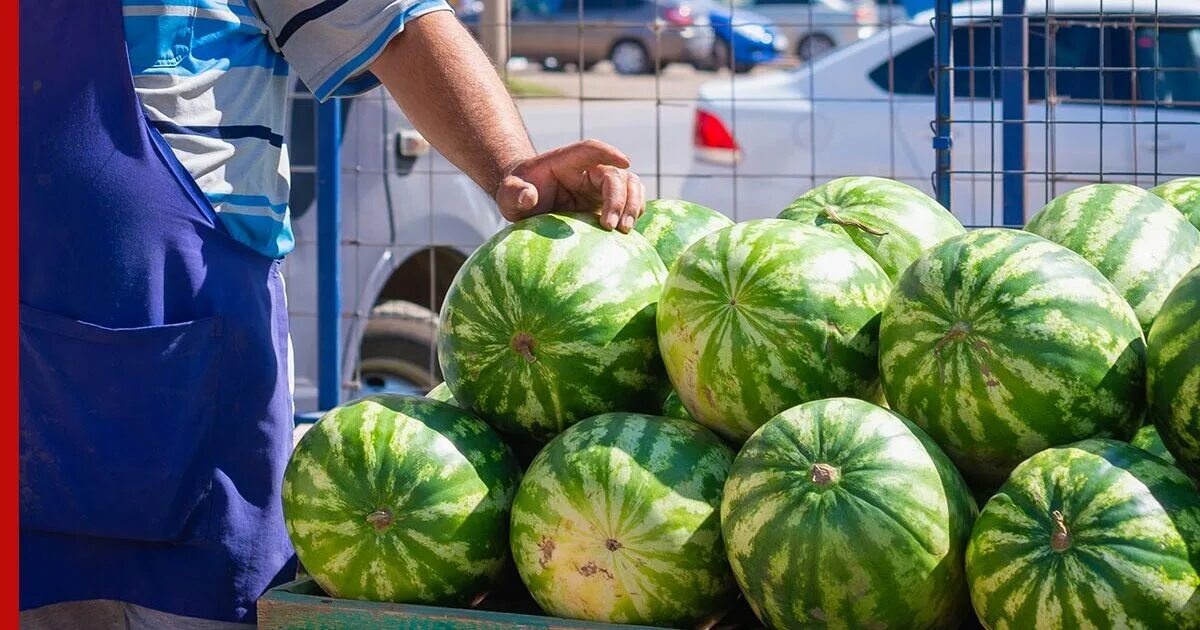 Арбузы. Торговля арбузами. Август арбузы. Арбузы продают. Продается арбузы