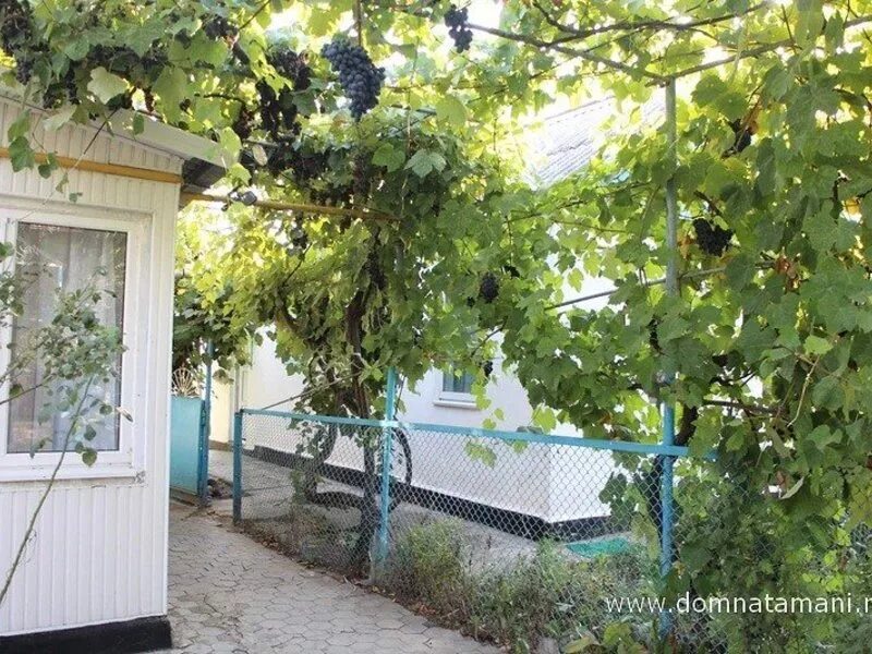 виноградный, таманская 45. дом в виноградном анапский район. поселок виноградный анапского района улица лермонтова. виноградный поселок краснодарский. виноградный поселок краснодарский край анапский район.