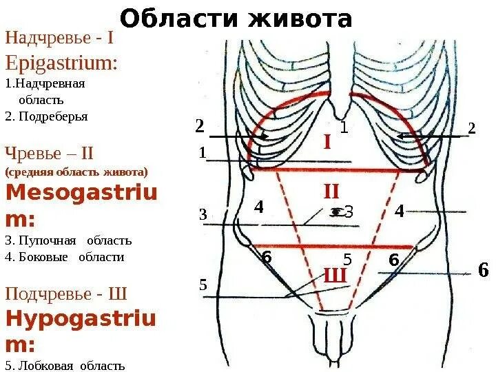 Верхний эпигастрий