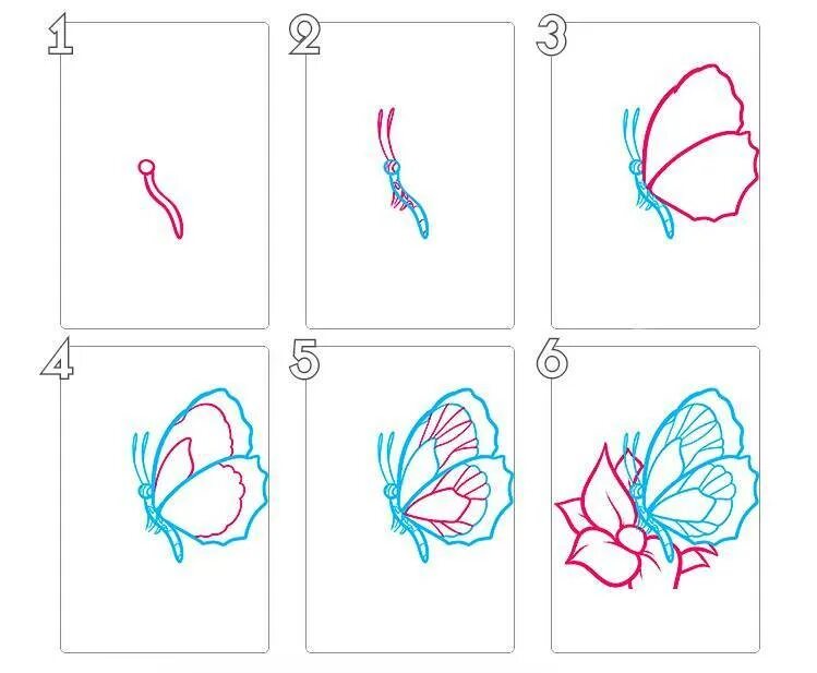 Как нарисовать бабочку пошагово. Поэтапное рисование бабочки. Бабочка рисунок карандашом. Пошаговое рисование бабочки. Рисование для начинающих схемы