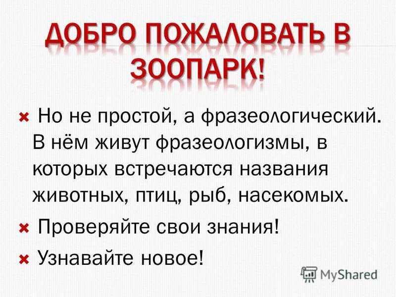 Жили были фразеологизм. Добро пожаловать в зоопарк письменное. Добро пожаловать в зоопарк зуба.