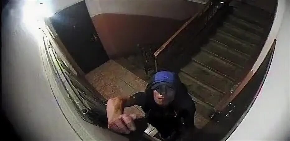 Видео с украденной камеры. Видео с украденной камеры. Картина для маскировки камер видеонаблюдения. Видео с украденной камеры. Что пытается своровать на камере наблюдения.