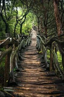 Photo path