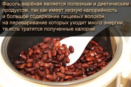 Содержание белков на 100 грамм фасоль. Фасоль красная вареная калорийность на 100 грамм. Фасоль вареная БЖУ. Фасоль красная калорийность вареная. Фасоль вареная калорийность на 100.