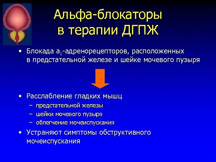 Простата действий. Альфа 1 адренорецепторы в предстательной железы. Альфа блокаторы при аденоме предстательной железы. Альфа 1 адреноблокаторы при ДГПЖ. Альфа адреноблокаторы при ДГПЖ.