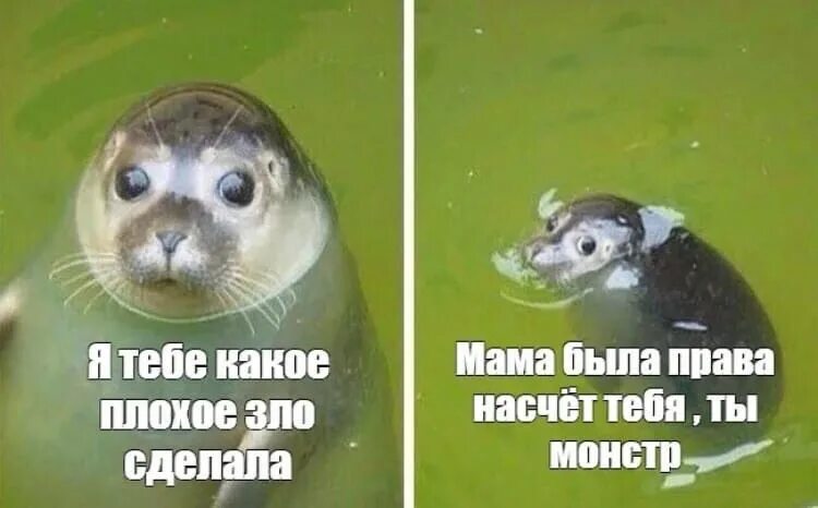 Мама ты что что ты делаешь лена