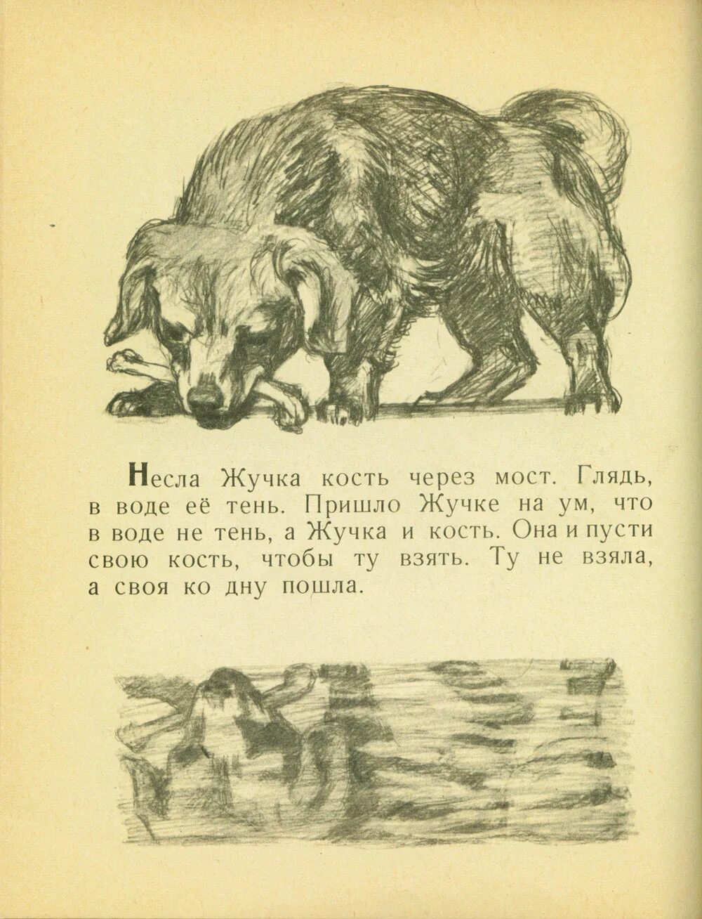 Жучку значение