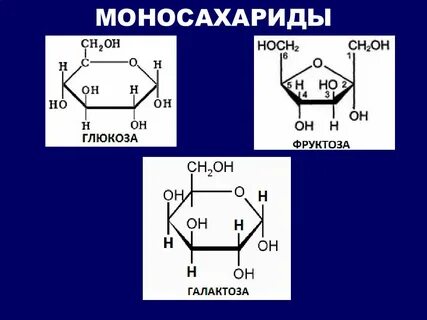 Галактоза