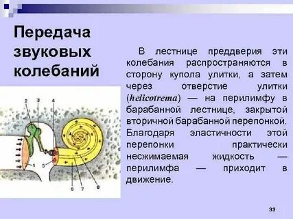 Передача колебаний