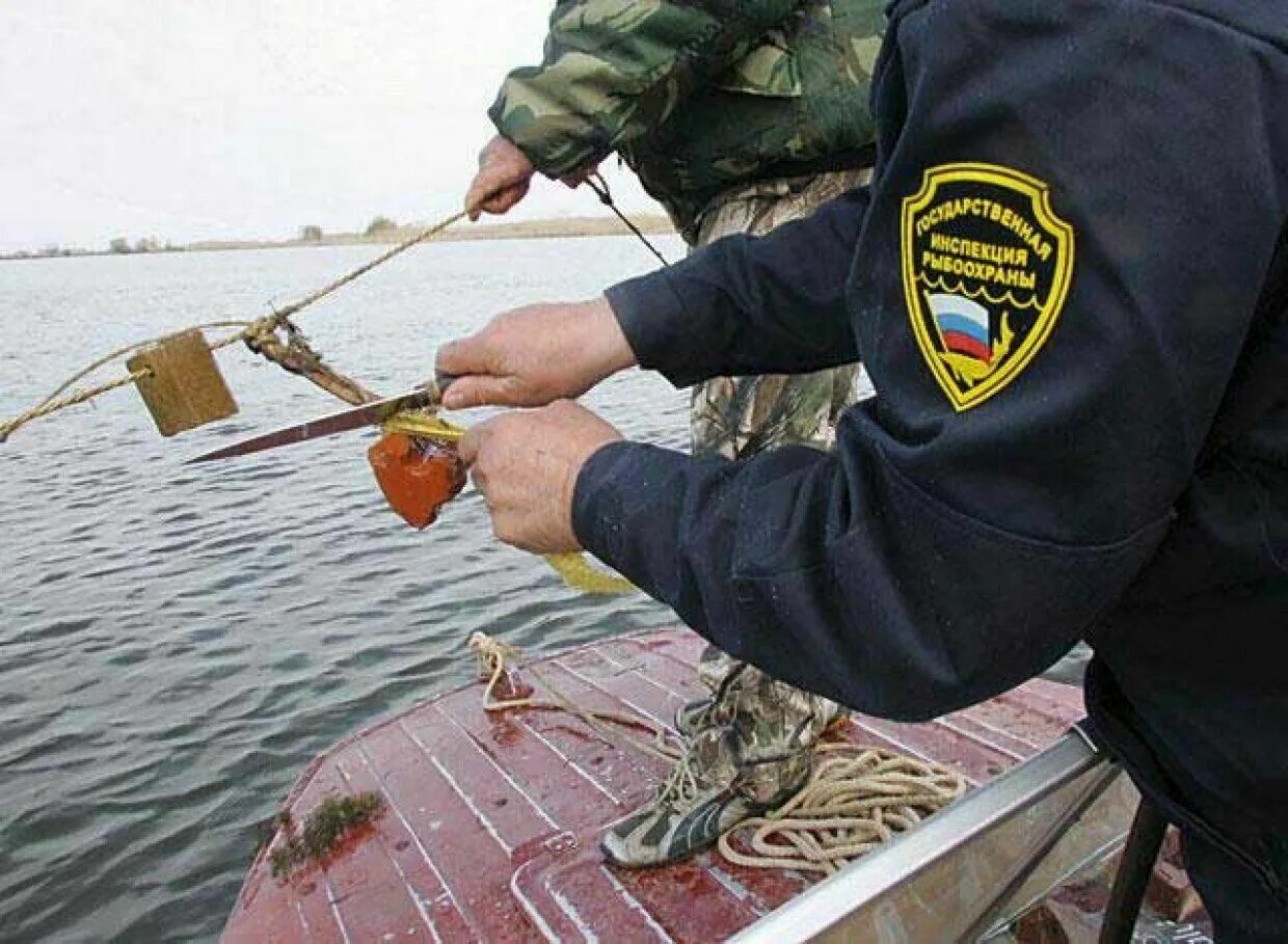 Можно ли ловить в прудах в запрет