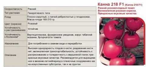 Томаты генеративные