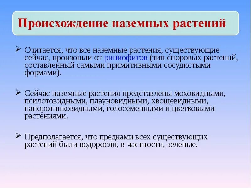 Кого считают предками 1 наземных растений. Происхождение наземных растений. этапы развития наземных растений. происхождение наземных растений 6 класс. эволюция наземных растений.