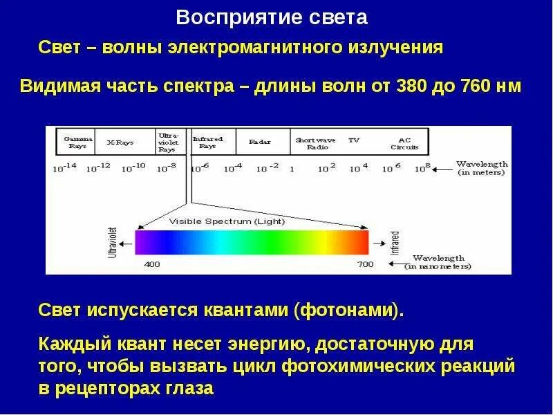 Частота в спектре излучения излучения. Видимая часть электромагнитного спектра. Длина волны света формула. Световые волны длина волны. Видимый диапазон электромагнитных излучений.