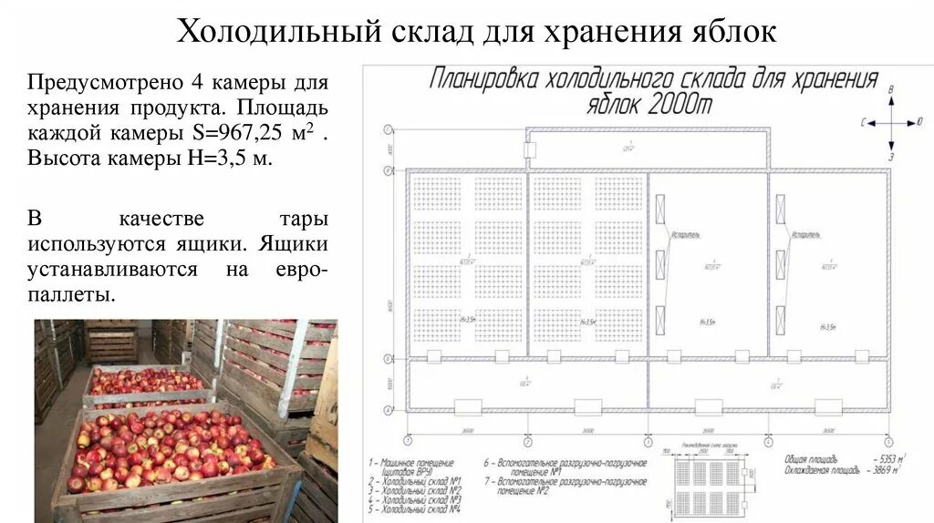 Хранение овощей нормы. Склад с холодильными камерами схема. Схема холодильного оборудования на складе. Схема склада холодильного хранилища. Чертеж холодильного склада.