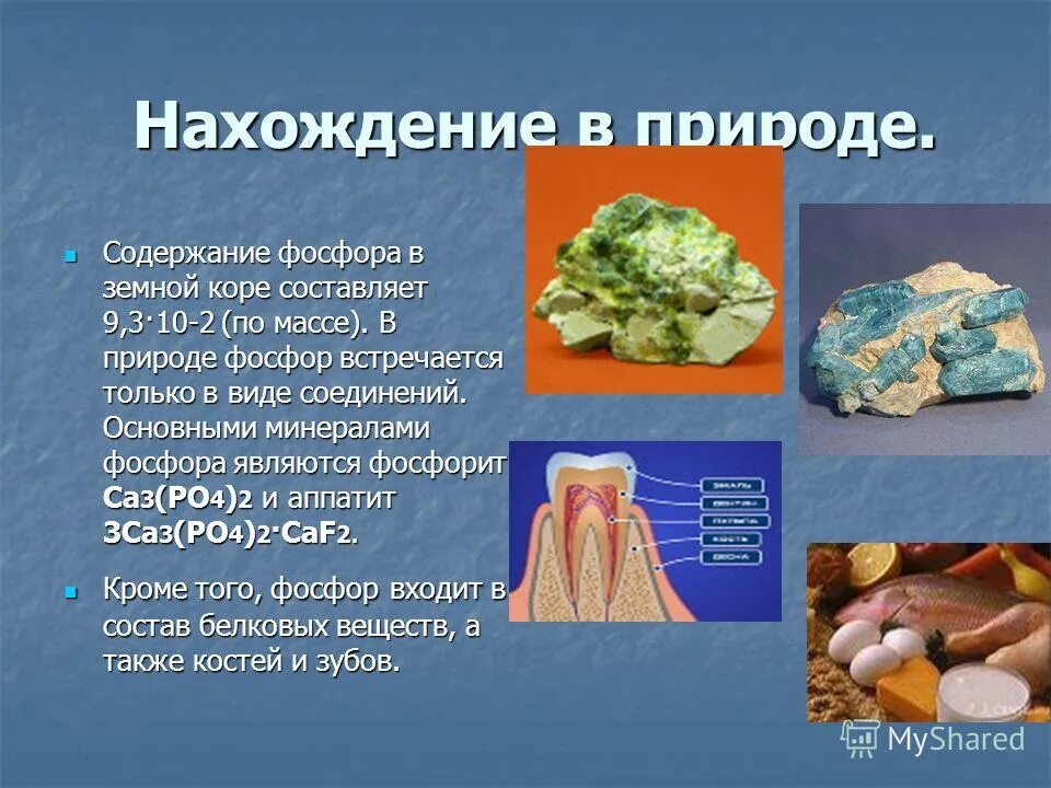 Нахождение в природе фосфора. Фосфор в природе встречается. Важность фосфора в природе. Фосфор презентация.