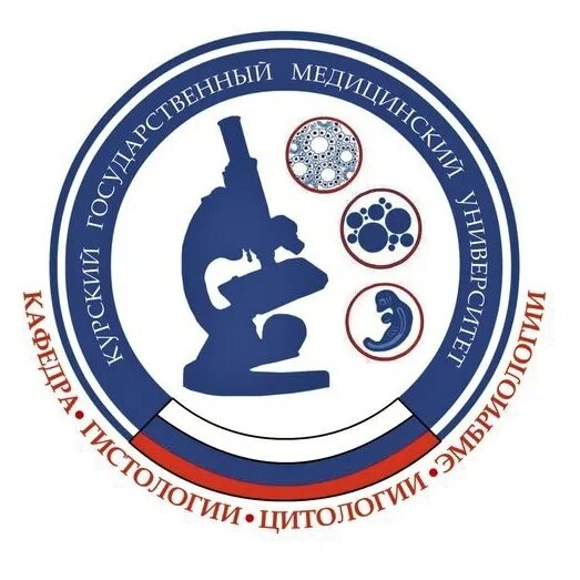Кгму гистология. Иванов кгму гистология. кафедра гистологии кгма. кафедра гистологии кгму. кафедра гистологии кгму курск.