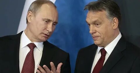 Политики 2016 года