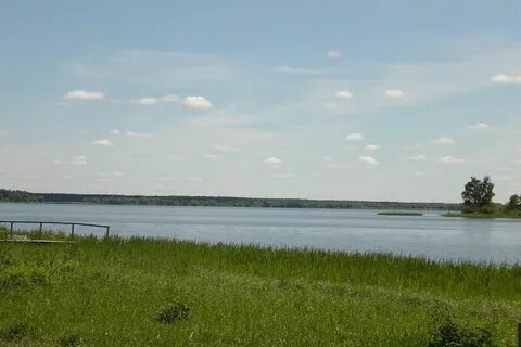 Погода в харлово кашинский