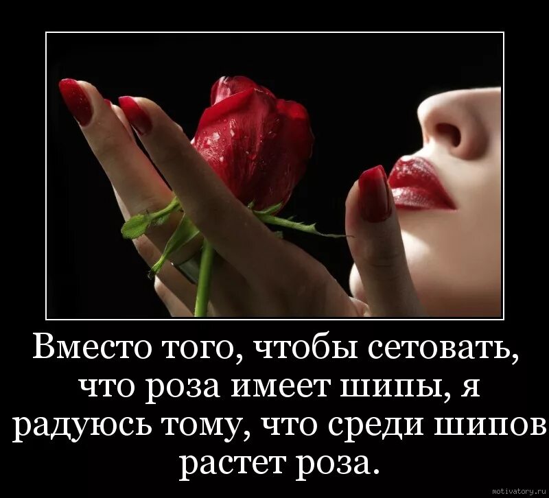 Статус вместо