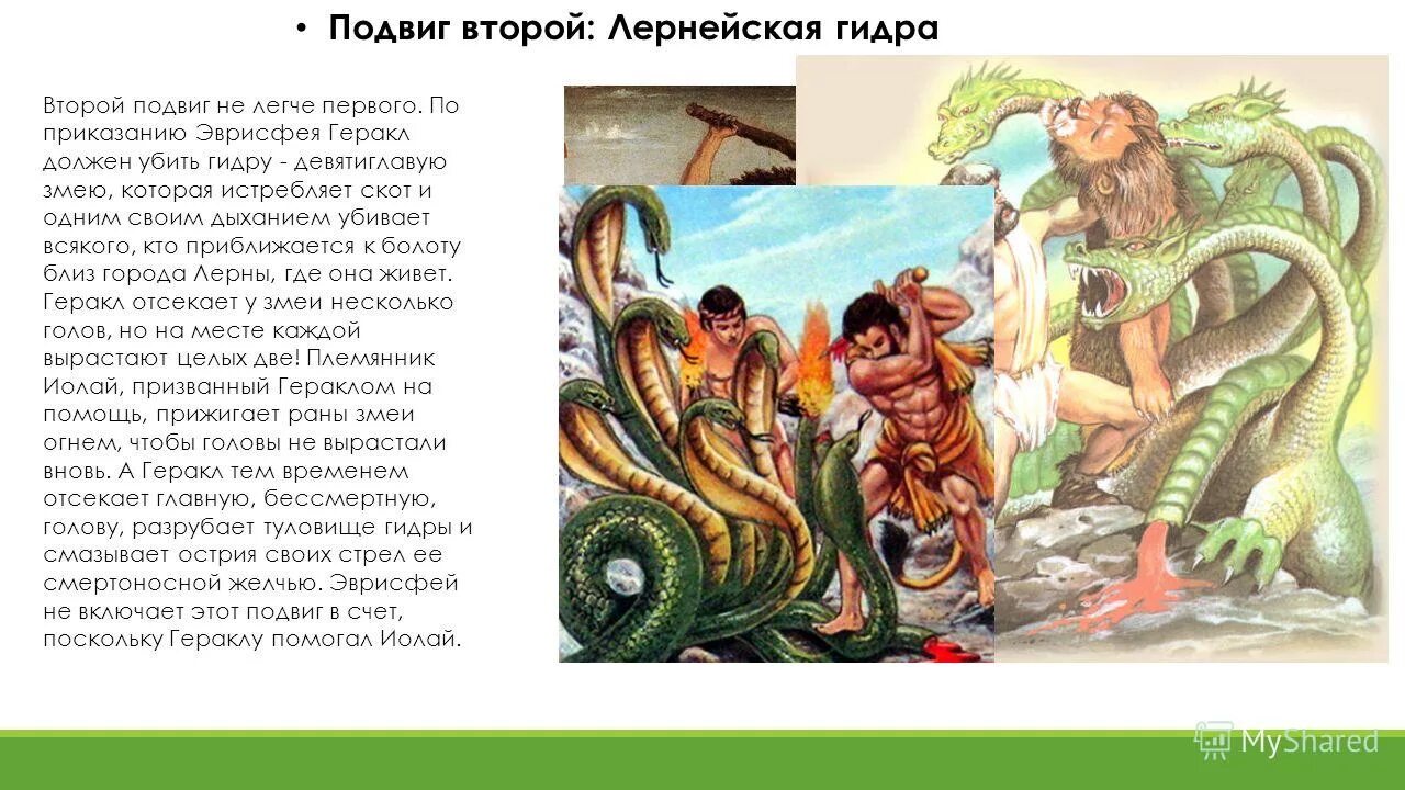 6 подвиг геракла тест с ответами