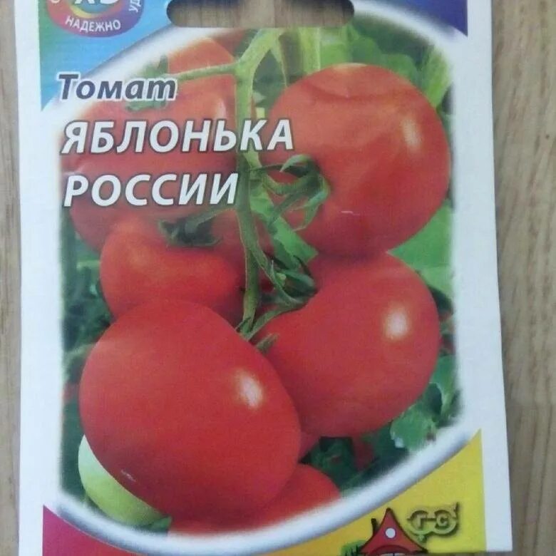 Сорт томатов яблонька россии. Томат Яблонька России. Сорт помидоров Яблонька России. Яблонька России томаты рассада. Форма листьев томата Яблонька России.