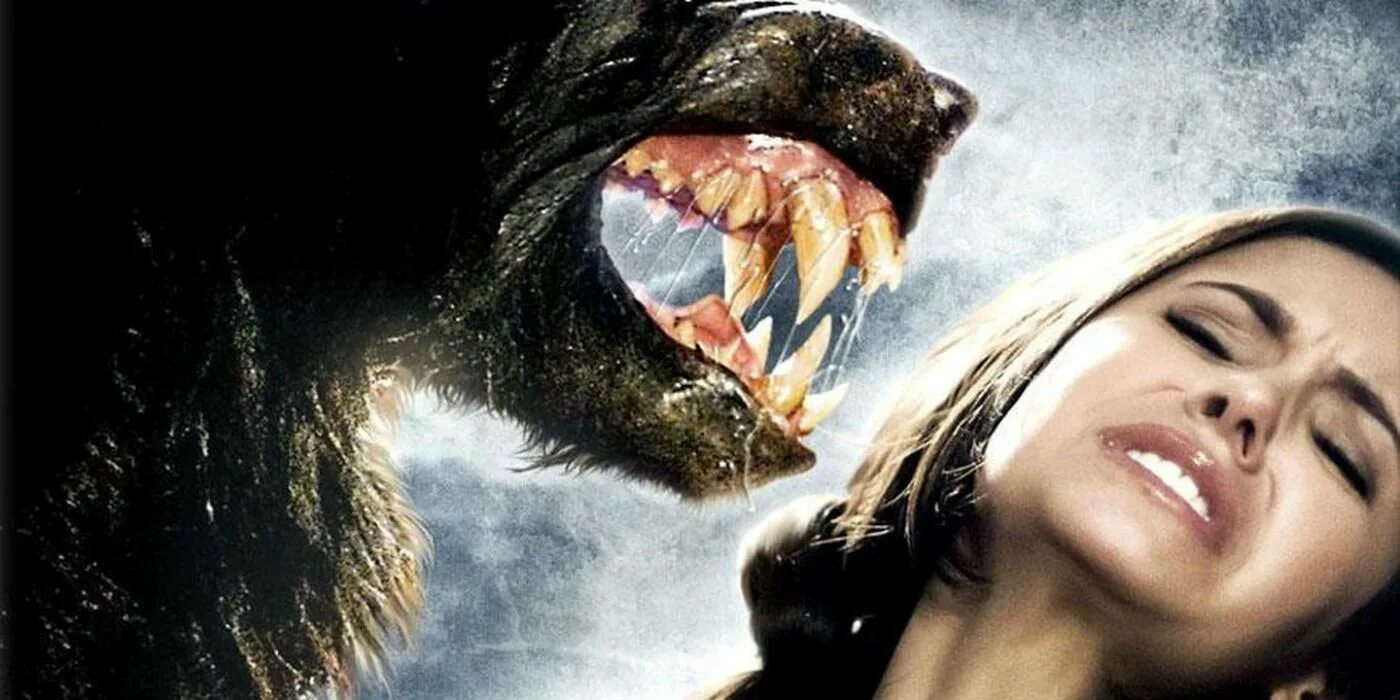 Monster never cry code. Never cry werewolf 2008..