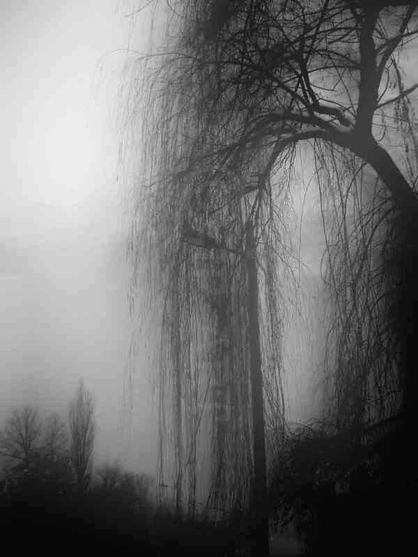 What is dark but made by light