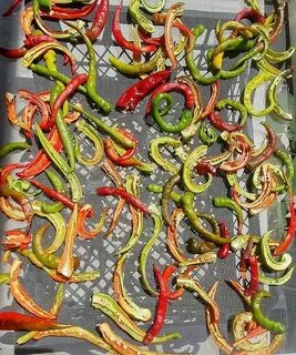 Pepper 12
