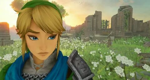 Experience link link