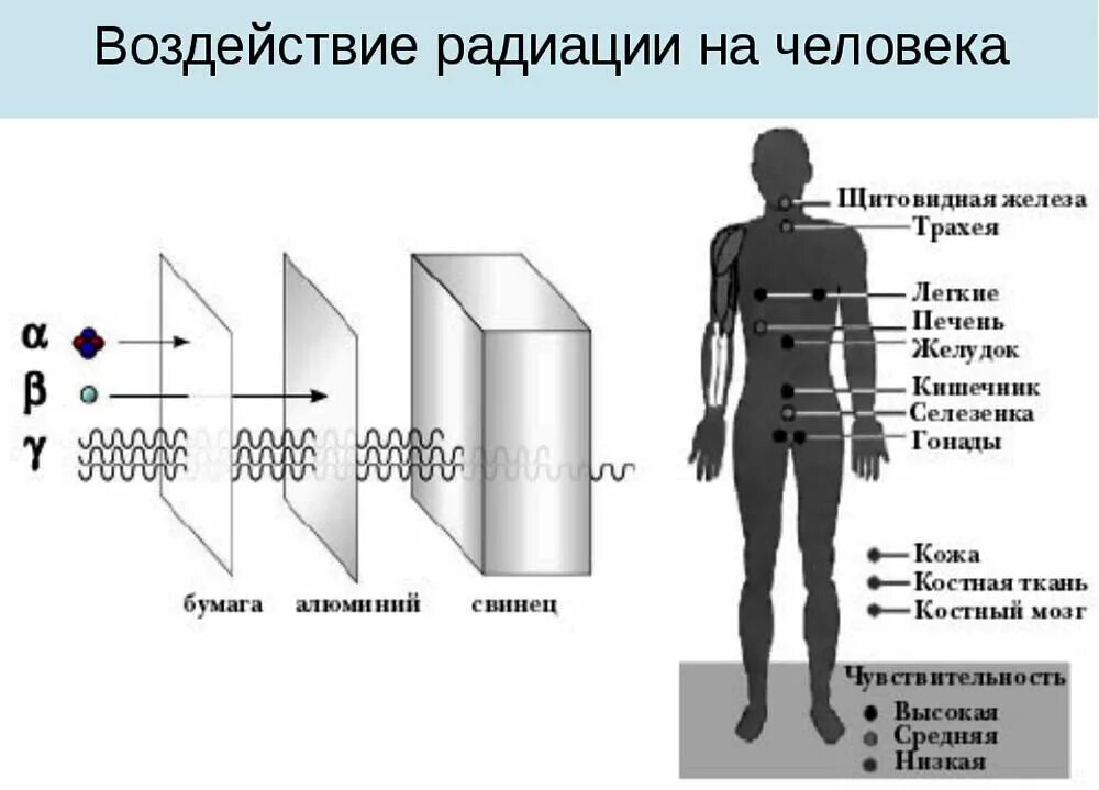 Какие излучение от человека. Схема действия ионизирующего излучения на организм человека. влияние радиационного излучения на организм. схема влияния ионизирующего излучения на человека. виды воздействия ионизирующего излучения на организм человека.