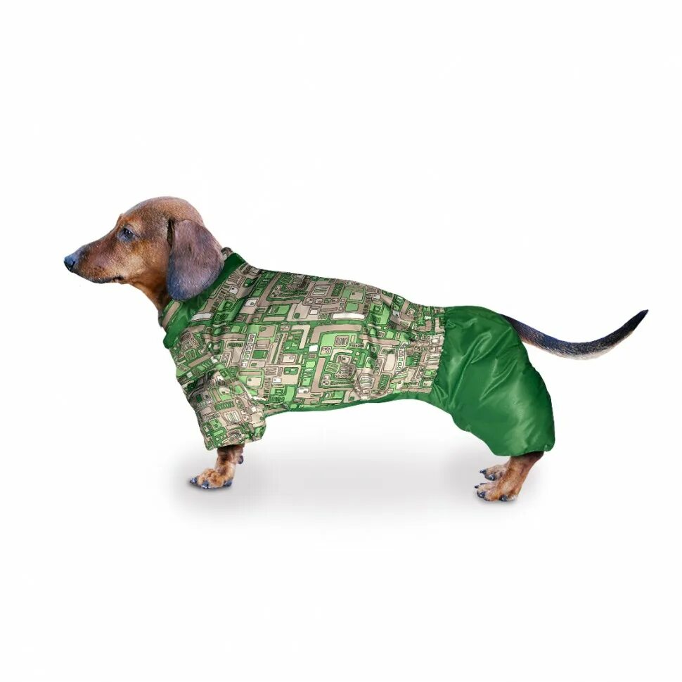 Formydogs комбинезон для такс. Такса собака. Комбинезон утепленный ютакс. Gamma gamma комбинезон зимний "такса". Комбинезон зимний такса l, 46-50см.