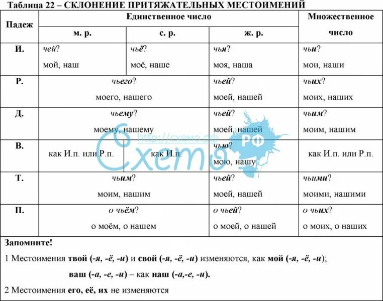 Склонение притяжательных местоимений таблица. Склонение притяжательных местоимений в русском языке таблица. Притяжательные местоимения в родительном падеже в русском языке. Притяжательные местоимения в русском языке таблица. Притяжательные местоимения изменяются по числам