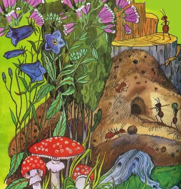 Сказка живая природа. Сказочные растения картинки. Сказочное Лесное царство. Иллюстрации детских книг. Сказочный Муравейник.