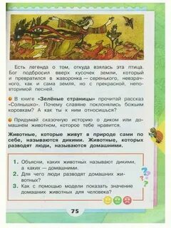 Рассказы про окружающий