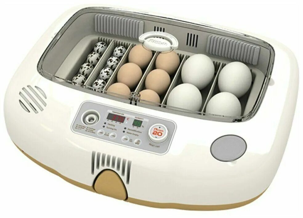 R com 90 max инкубатор. Инкубатор 12 egg incubator. Инкубатор автоматический hhd88. Инкубатор автоматический sititek 96. Инкубатор человеческий для производителей слуг.