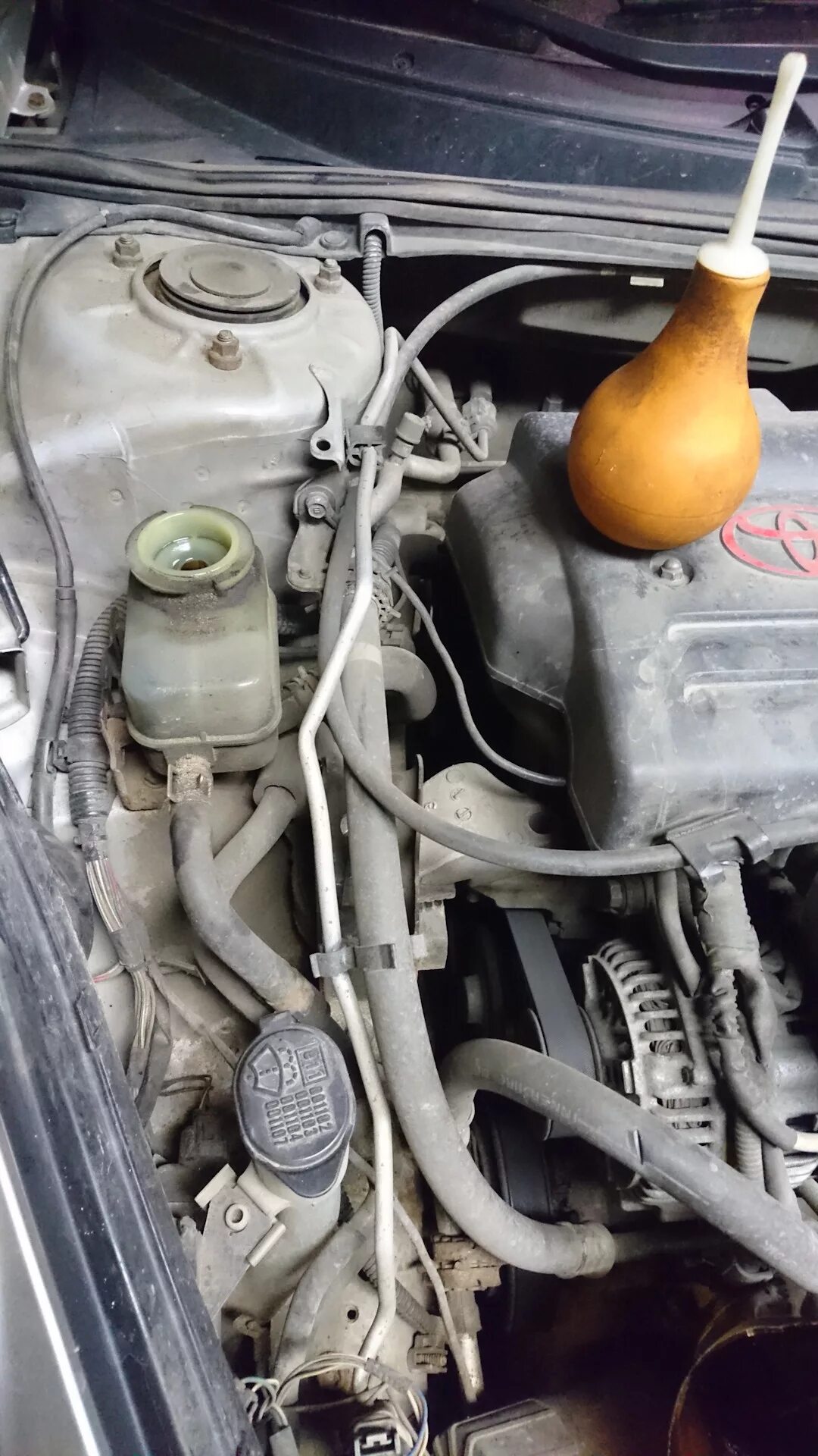 Двигатель 1zz fe 1. Замена жидкости гура 3s fse. Toyota 1zz-fe. Двигатель toyota avensis 1. Жидкости 1zz.