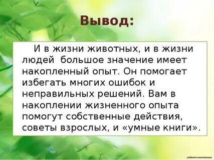 Опыт накопленный жизнью