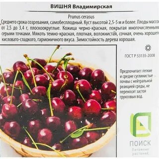 Морозостойкость вишни владимирская