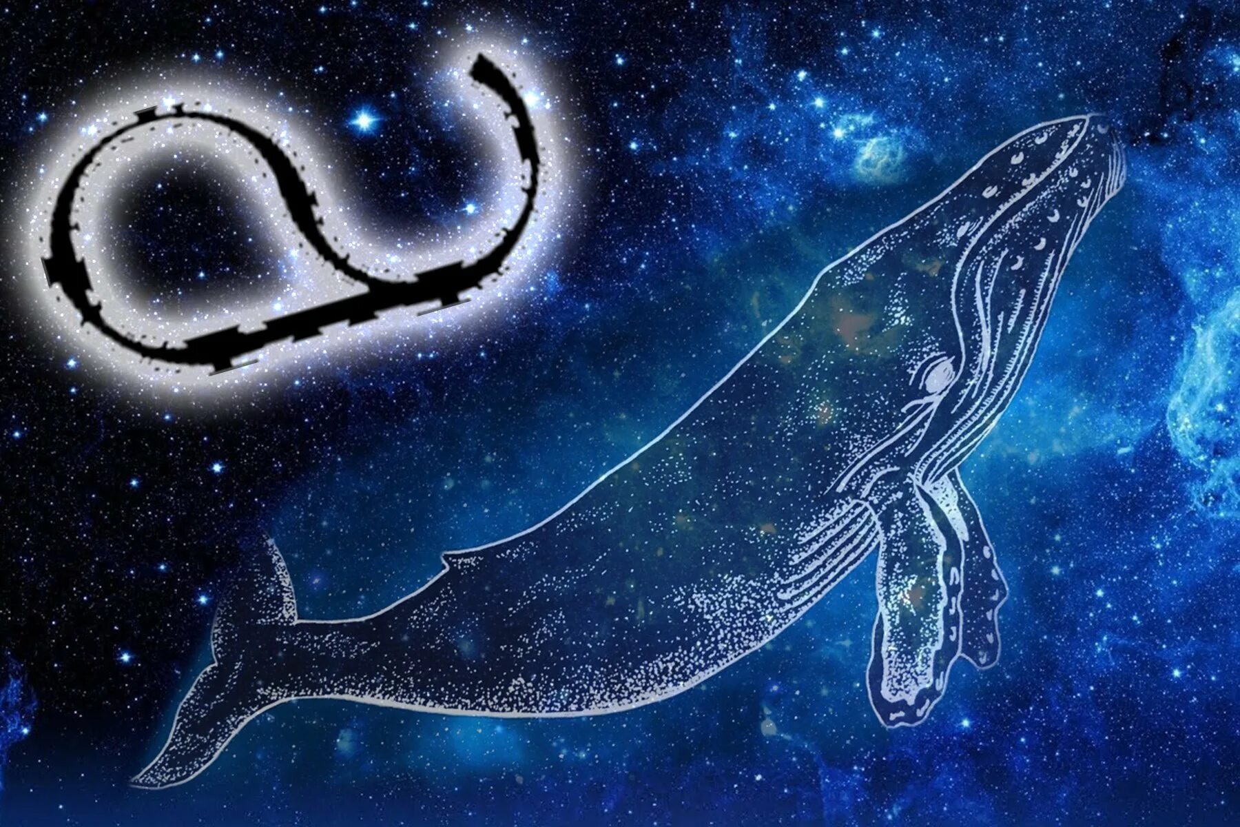 Змееносец и кит. Знак зодиака кит и Змееносец. Созвездие Змееносец. 14 Знаков зодиака кит и Змееносец. Гороскоп на месяц козерог женщина 2024