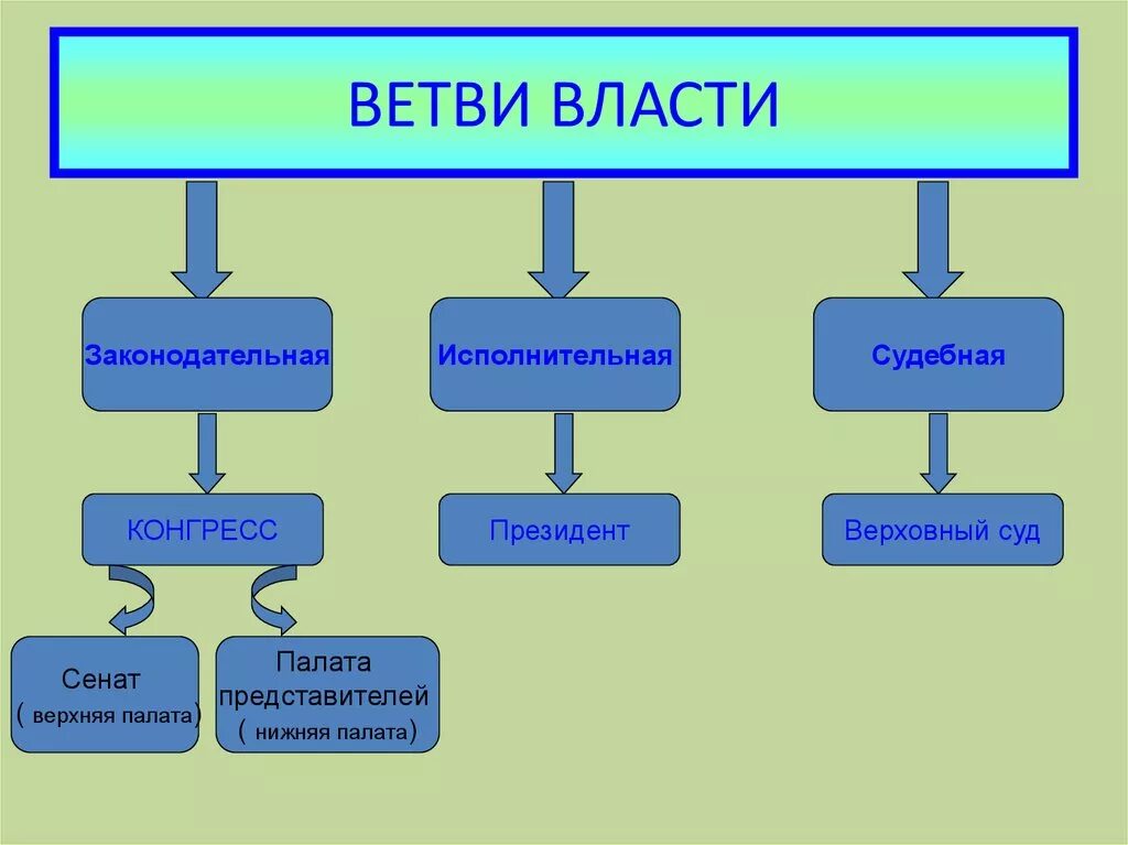 Характеристика ветвей власти