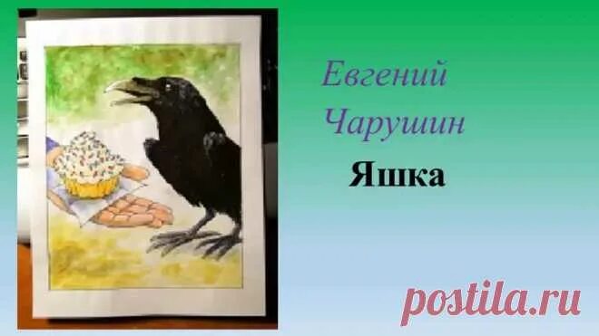 Как яшка стал царем двора в рассказе. Рассказ яшка чарушина. яшка чарушин рисунок. чарушин вороны.