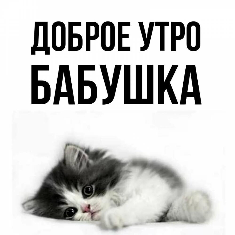 Пин от пользователя Gulnara на доске ДЕНЬ МАТЕРИ ! Открытки, Розы, Доброе утро