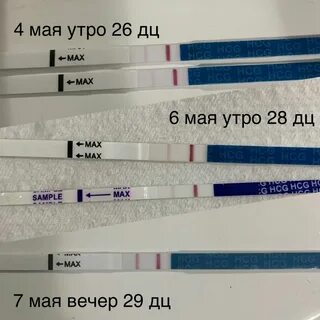 Тест may
