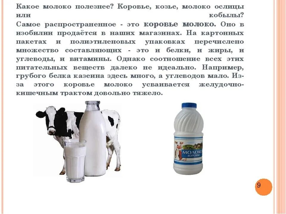 Можно ли давать ребенку коровье молоко. Коровье молоко. Молоко домашнее. Молоко от коровы. Козье и коровье молоко.