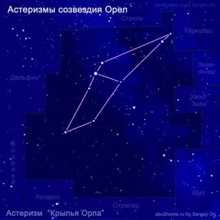 Распознай звезду