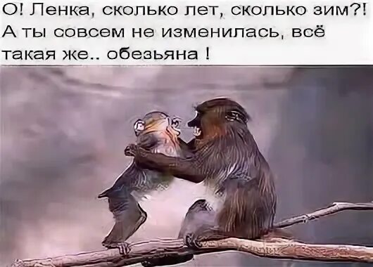 Песня сколько зим сколько весен