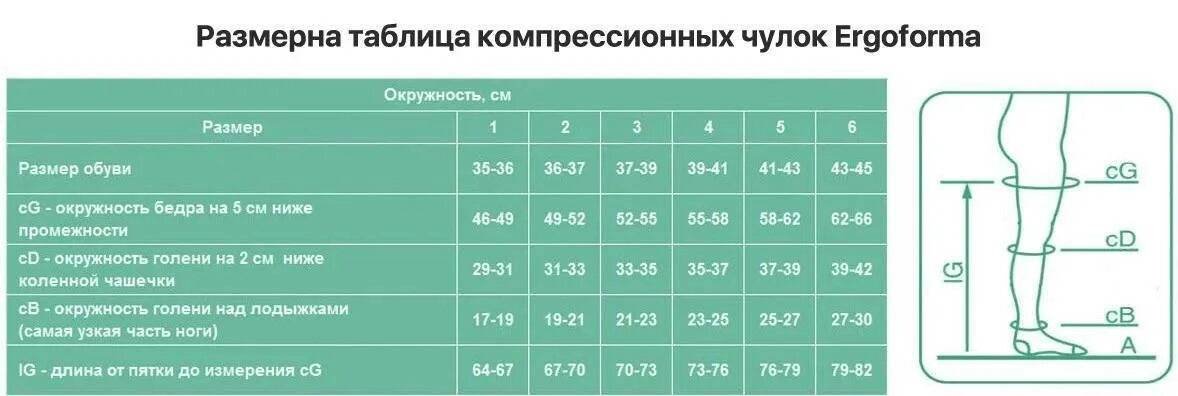 Чулки для операции как подобрать размер. Компрессионные чулки эргоформа размерная сетка 1 класс. эргоформа чулки компрессионные 2 класс размерная таблица. эргоформа чулки компрессионные 2 класс 3 размер. чулки компрессионные ergoforma размерная сетка.